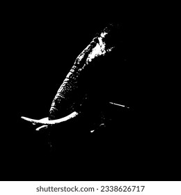 White and Black Elephant Illustration , Black and White Illustration with touch of Painting and Art