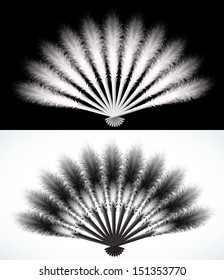 White and  black feathers fan isolated 