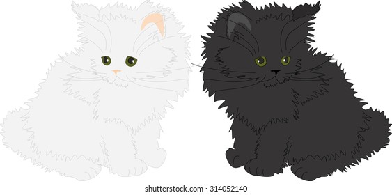 White and black fluffy cats.