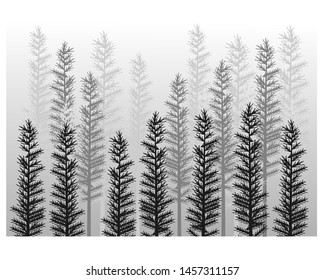 white black forest background design. vector illustration