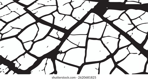 White black grey concrete wall, floor with cracks, texture background, cracked paint.Vector cracks, breaks on land surface from earthquake. old wall background crack vector, grunge texture. 