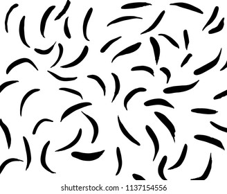 White and black grunge pattern. Background. Brush. Vector.