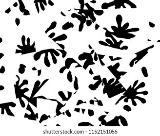 White and black grunge pattern. Background. Brush. Vector.