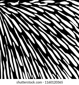White and black grunge pattern. Background. Brush. Vector.