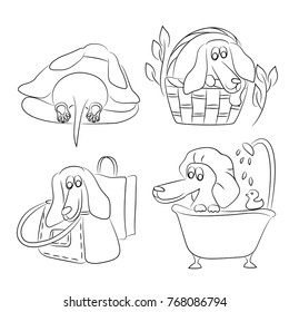 white black hand drawn contour decorative dachshund set