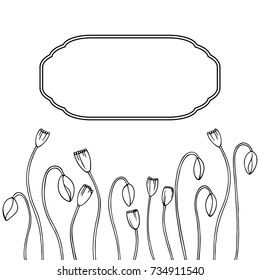 white black hand drawn poppy flowers