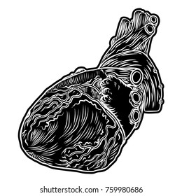 White and black human heart in hand drawn style. Anatomical sketch concept flesh tattoo or print t-shirt, smart phone, poster. Fashionable patch heart sticker. Doodle pop art sketch badge. Vector.