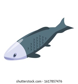 White black koi carp icon. Isometric of white black koi carp vector icon for web design isolated on white background