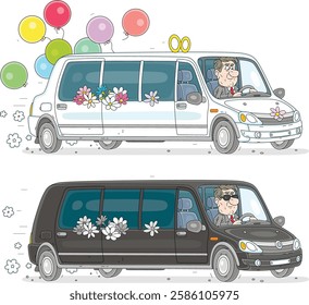 White and black large luxurious limousines with chauffeurs for happy weddings and sad funerals, vector cartoon illustrations isolated on a white background