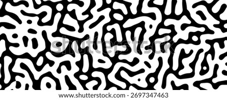 White and Black Maze Modern Pattern Texture