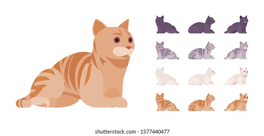 White, black, orange, grey striped pedigree cat lying rest set. Active healthy kitten with beautiful fur, cute funny pet, home playful companion. Vector flat style cartoon illustration different views