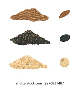 White and Black Pepper with Cumin Seed spice symbol set cartoon illustration vector