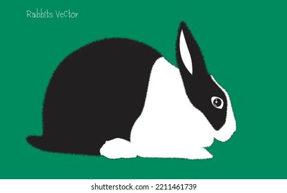 Conejo blanco y negro. icono del vector de conejo de dibujos animados. Icono de dibujos animados aislados conjunto.Ilustración del Conejo vectorial sobre fondo aislado.