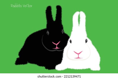 White and Black Rabbit. cartoon rabbit vector Icon. Isolated cartoon icon set.Vector Rabbit illustration on isolated background.