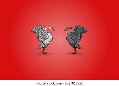 A white and black swan confronting each other. Hand drawn vector illustration.