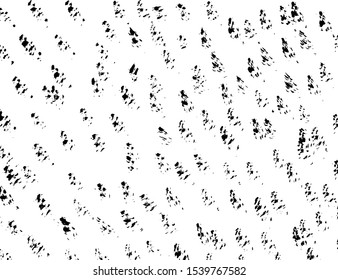 White and black vector. Grunge background. Abstract brush pattern.