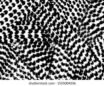 White and black vector. Grunge background. Abstract brush pattern.
