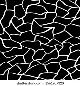 White and black vector. Grunge background. Abstract brush pattern.