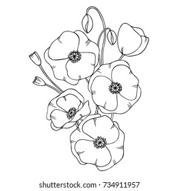 white black vector sketch of poppy flowers bouquet