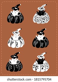 white and blackcat cat in pumpkin on brown background. cute cat halloween card