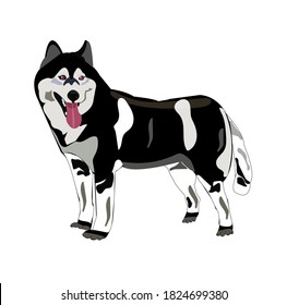 
A white black-patterned dog stood one.