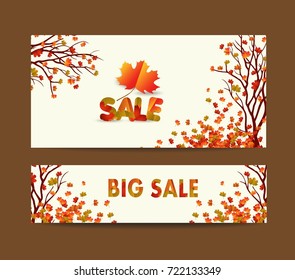 White blank with autumn maple leaves on background for design banner, ticket, leaflet, card, poster