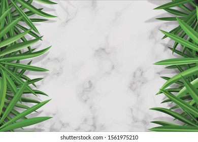 White Blank Marble template background on top view. decoration by green palm leaves on side.  Realistic Vector.
