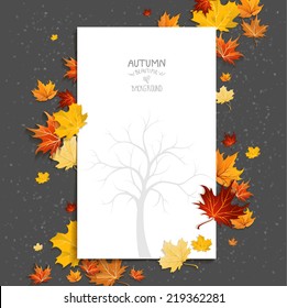 White blank on autumn background with maple leaves. Copy space.