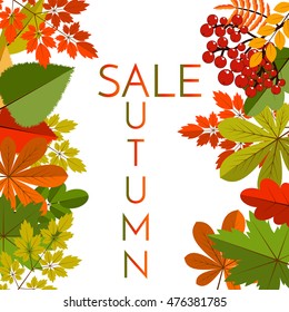 White blank on autumn background with maple leaves vector. Nature season color orange autumn background maple leaves. Beautiful texture colorful forest autumn background vibrant environment concept.
