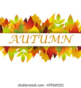 White blank on autumn background with maple leaves vector. Nature season color orange autumn background maple leaves. Beautiful texture colorful forest autumn background vibrant environment concept.