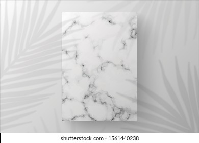 White Blank Rectangle marble template in white background on top view. decorated by shadow leaves. for new product, promotion sale, banner, presentation, cosmetic, offer. copy space. Realistic Vector