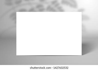 White blank sheet of paper or business card. Behind a white wall is the shadow of a fern leaf. Mock-up for design