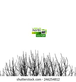 White blank with tree branches. Vector