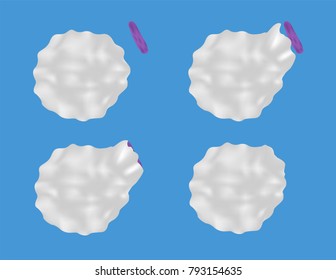 white blood cell eat virus