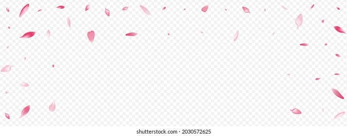 White Bloom Vector Panoramic Transparent Background. Rose Air Poster. Cherry Japan Illustration. Blossom Blow Design. Purple Apple Romance Banner.