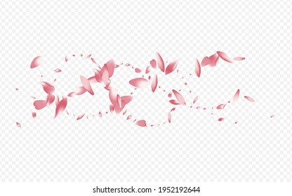 White Bloom Vector Transparent Background. Heart Beauty Card. Blooming Rain Banner. Confetti Flutter Template. Bright Tree Valentine Illustration.