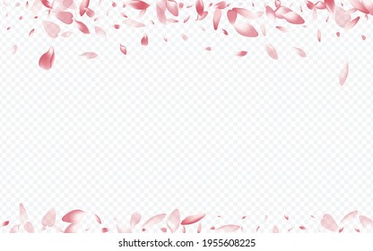 White Blooming Vector Transparent Background. Rosa Aroma Texture. Sakura Romantic Cover. Apple Isolated Pattern. Color Peach Mother Template.