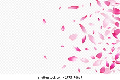 White Blooming Vector Transparent Background. Apple March Pattern. Rose Nature Poster. Confetti SummerDrop Design. Color Lotus Feminine Cover.
