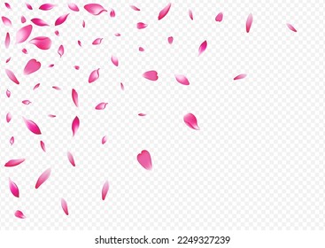 White Blooming Vector Transparent Background. Blossom Flutter Design. Tree Fresh Cover. Petal Fly Illustration. Color Rose Blur Poster.