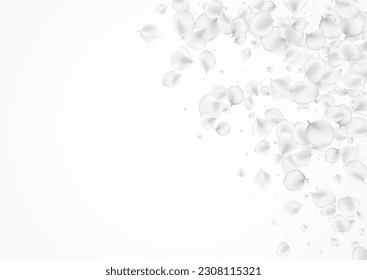 White Blossom Vector Light Background. Pastel Japanese Cherry Texture. Blur Peach Poster. Delicate Floral Falling Pattern.