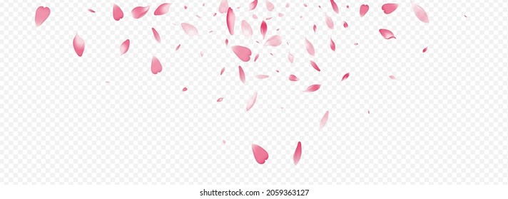 White Blossom Vector Panoramic Transparent Background. Lotus Air Cover. Leaf Valentine Backdrop. Floral Japanese Design. Pink Flower Japan Texture.