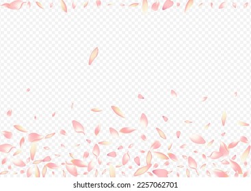 White Blossom Vector Transparent Background. Rose Romance Congratulation. Heart Graphic Template. Rosa Japan Design. Red Blooming 3d Pattern.