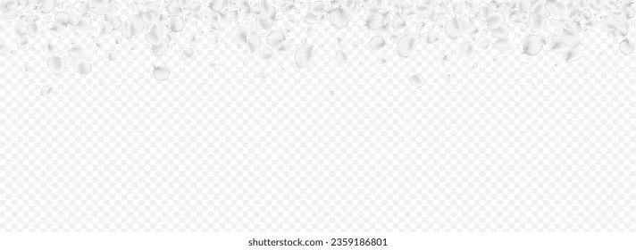 White Blossom Vector Transparent Panoramic Background. Gray Fly Petal Illustration. Falling Floral Backdrop. Snowy Sakura Flying Banner.
