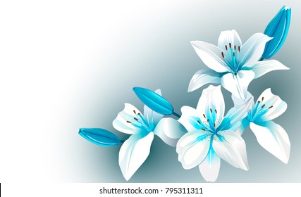 White and blue blooming flowers