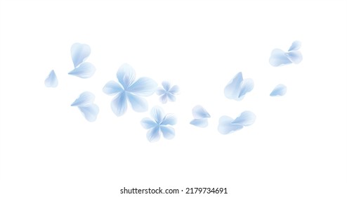 White Blue flying flower and petals isolated on White background. Sakura petals. Vector	