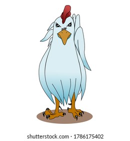 White and blue gradient rooster with a red crest. Adult blue-white chicken, front view with shiny eyes and claws.