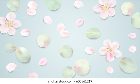 White and blue pastel background with spring flower top view. Apple tree blossom petals on the table illustration