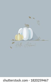 
White and blue pumpkin. Seasonal vegetables. Autumn holidays illustration. Autumn harvest. Vector postcard with a still life.