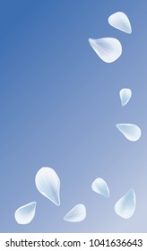 White Blue sakura flying petals isolated on light Blue gradient background. Petals Roses Flowers. Vector EPS 10 cmyk