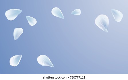 White Blue sakura flying petals isolated on light Blue background. Petals Roses Flowers. Vector EPS 10, cmyk